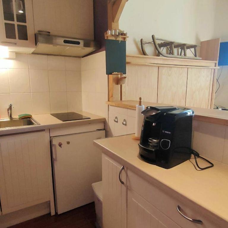 Studio 2/4 pers près centre Cauterets - FR-1-234-281 - Studio - 10