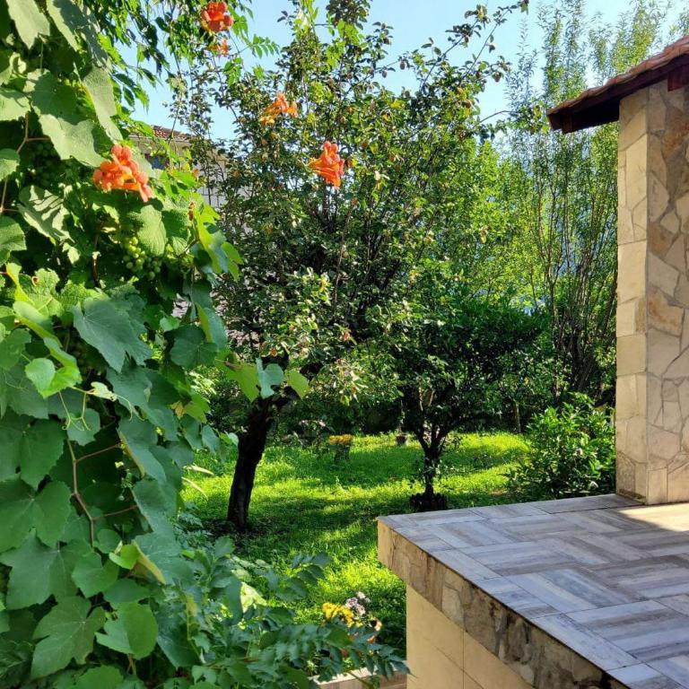 Fantasy Villa - One-Bedroom Apartment - 20