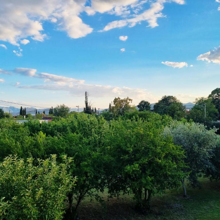 Home Mia Airport - Two-Bedroom Apartment - 50