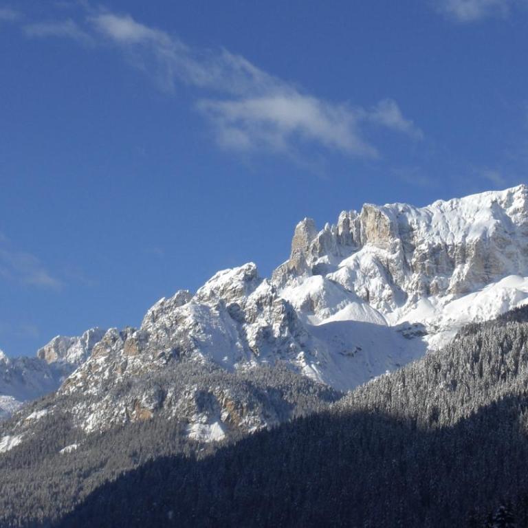 Hotel Alpi - Camera Deluxe Matrimoniale/Doppia con Letti Singoli con Vista Montagna - 1