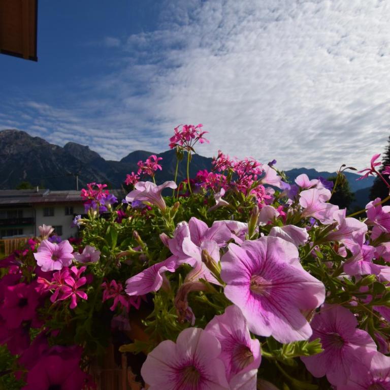 JARA APARTMENT- Ramsau am Dachstein - One-Bedroom Apartment - 75