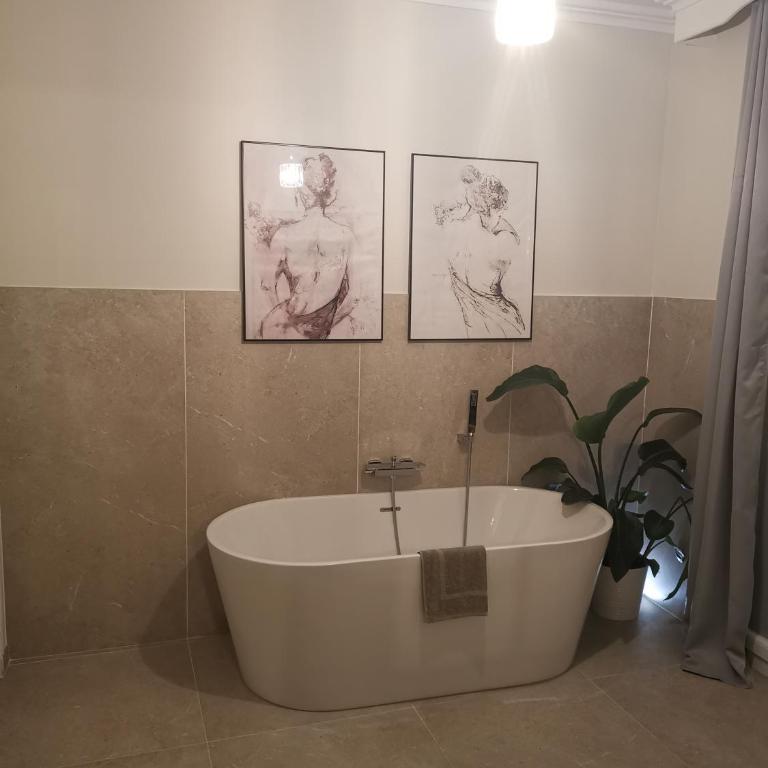 Chambre privée luxueuse Villa Monte 0ropa - Habitación Doble con terraza - 4