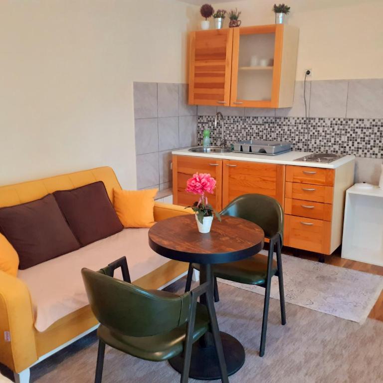 Apartman STARI GRAD - Apartman sa 1 Spavaćom Sobom - 9