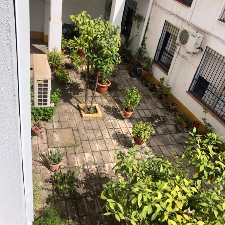 Apartamento Plaza Santa Lucia RENOVADO FEBRERO 2025 - Two-Bedroom Apartment - 14