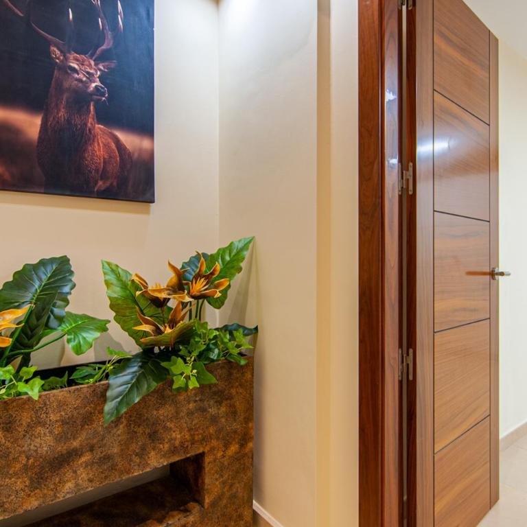 Villa Torriani with heated pool PH11 - Villa - 88