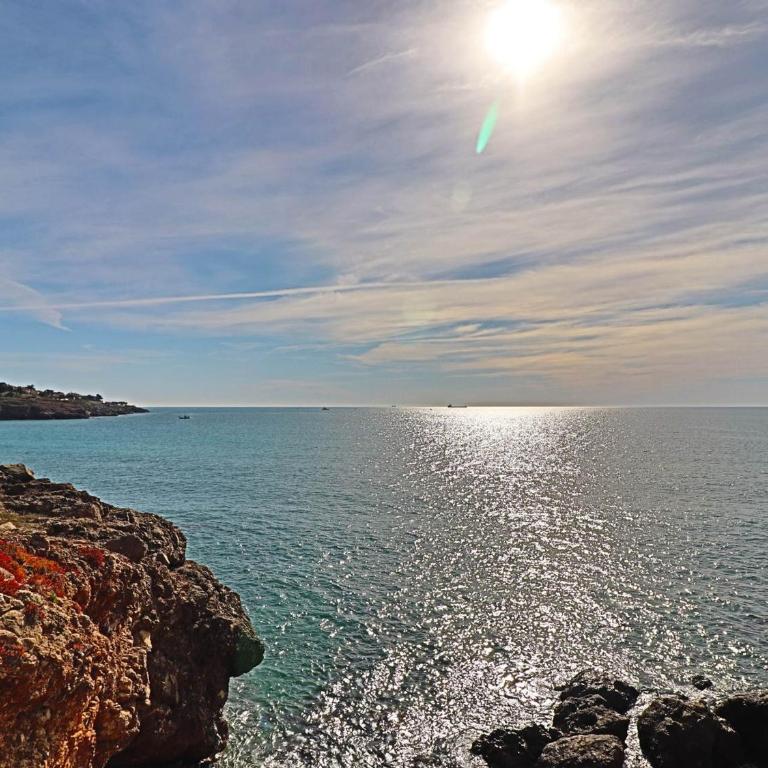 Appartement 2⭐ avec piscine et parking à Sète - FR-1-472A-147 - Apartamento (4 adultos) - 9