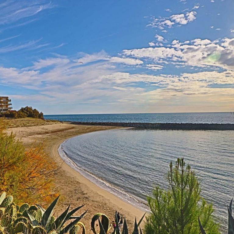 Rez de jardin 38m² à Sète avec vue mer et parking privé - FR-1-472A-129 - Apartment (4 Erwachsene) - 8