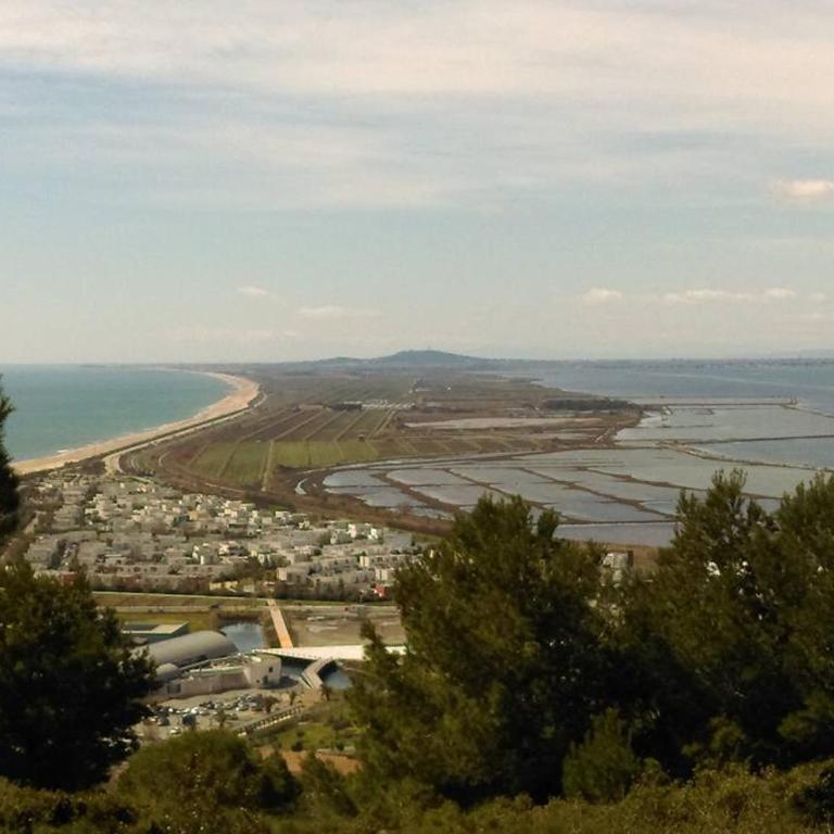 Rez de jardin 38m² à Sète avec vue mer et parking privé - FR-1-472A-129 - Apartment (4 Erwachsene) - 12