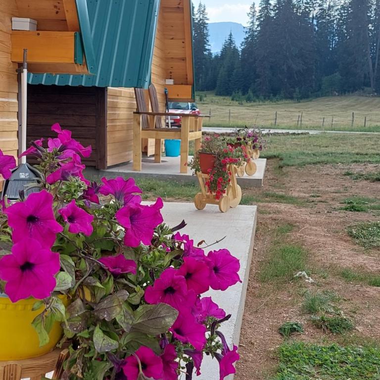 Šumski raj - One-Bedroom Chalet - 3