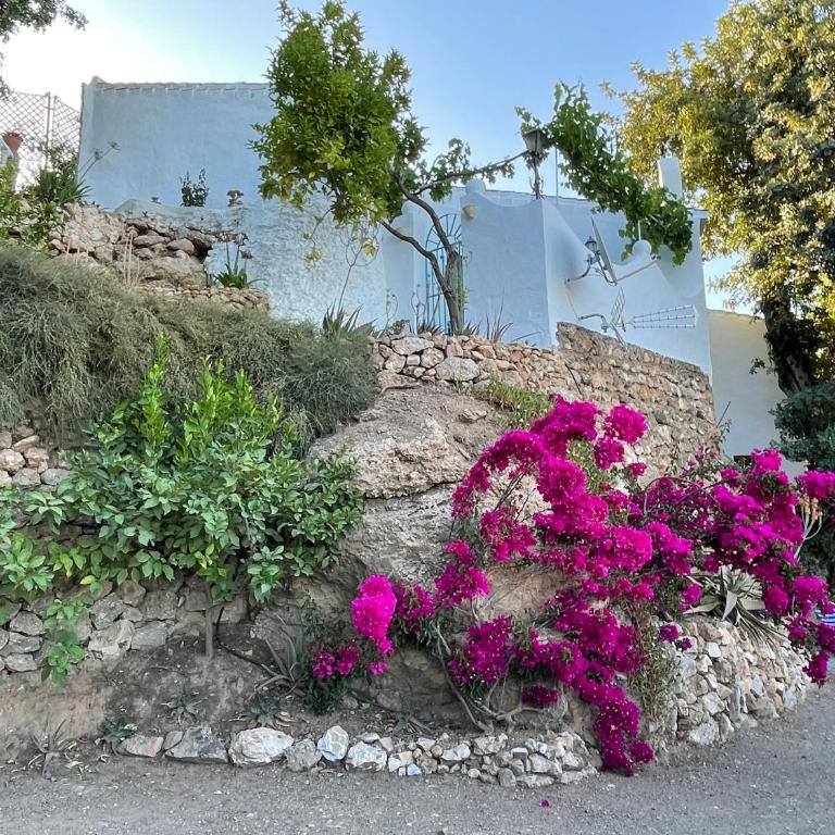 La Casa Turquesa - Casa de 2 dormitorios - 62