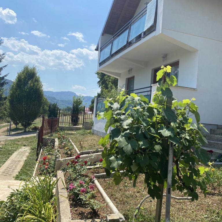 Villa Rose - Three-Bedroom House - 3