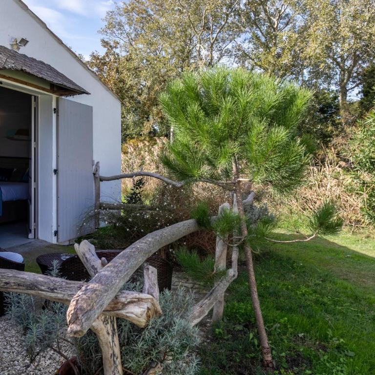 Hotel Mas Des Barres - Chambre Double Supérieure avec Terrasse Privée - Annexe - 5