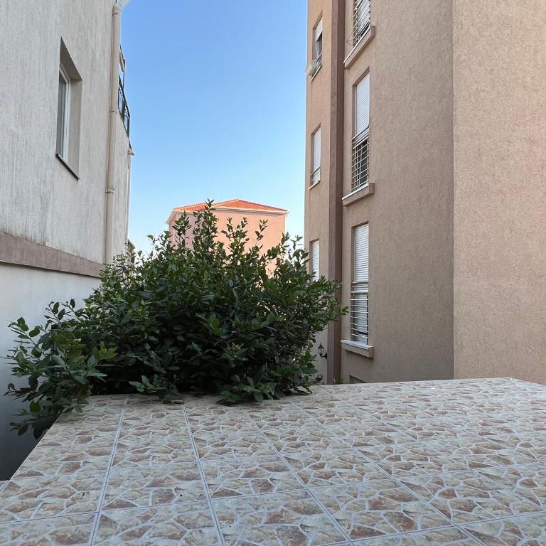 Apartment Zevs 4 - Apartman sa 1 Spavaćom Sobom - 14
