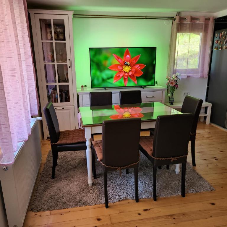 Botanica Zlatibor - Vila sa 3 Spavaće Sobe - 15