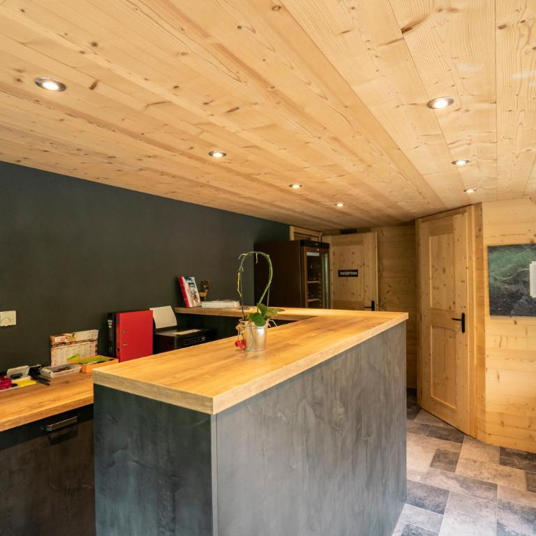 CHALET LES CERFS - Appartement 3 Chambres - 14