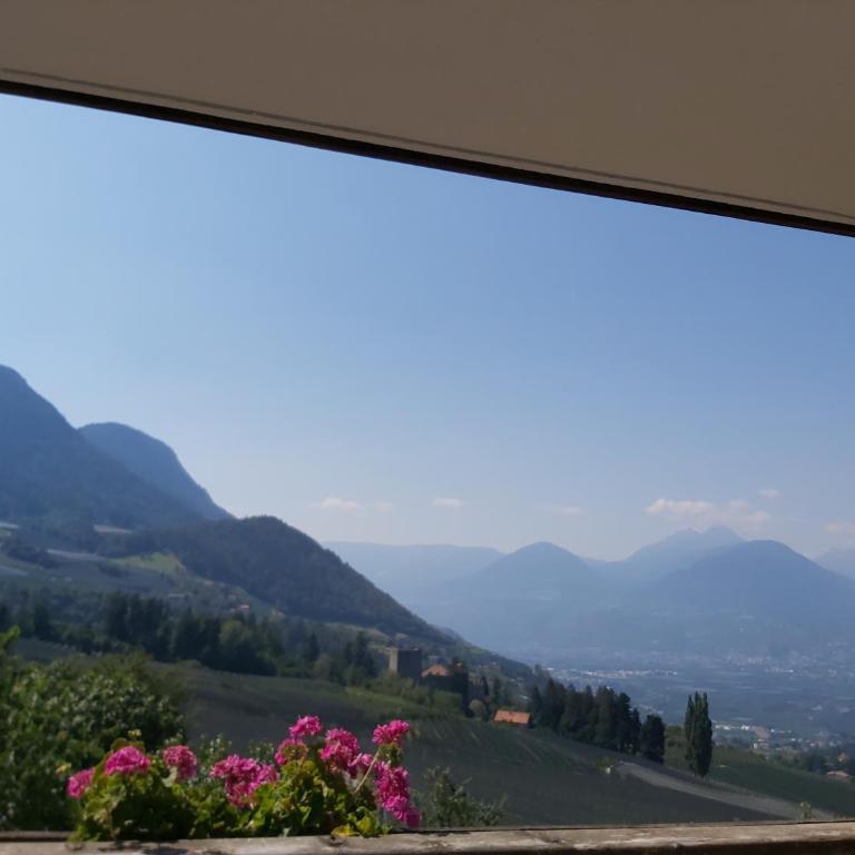 Mühlhaus - Camera Matrimoniale con Balcone - 8