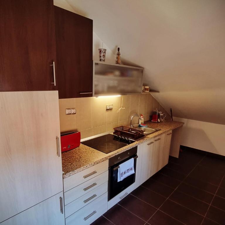 Old School Apartments - Apartman sa 2 Spavaće Sobe - 4