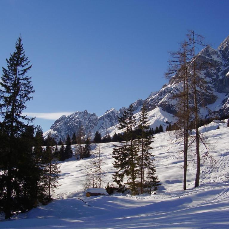 Appartementhaus Hochkönig 1 - Alpenrose - Apartment mit Balkon - 27