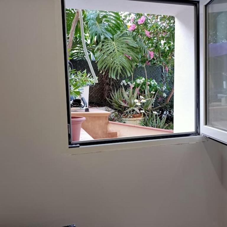 VILLA FALCONERA APARTAMENTS, GANDIA a las faldas de la montaña RELAX & PETS - Apartamento de 1 dormitorio - 77