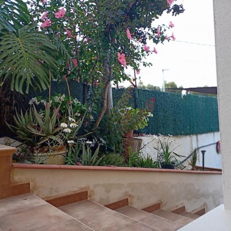 VILLA FALCONERA APARTAMENTS, GANDIA a las faldas de la montaña RELAX & PETS - Apartamento de 1 dormitorio - 71