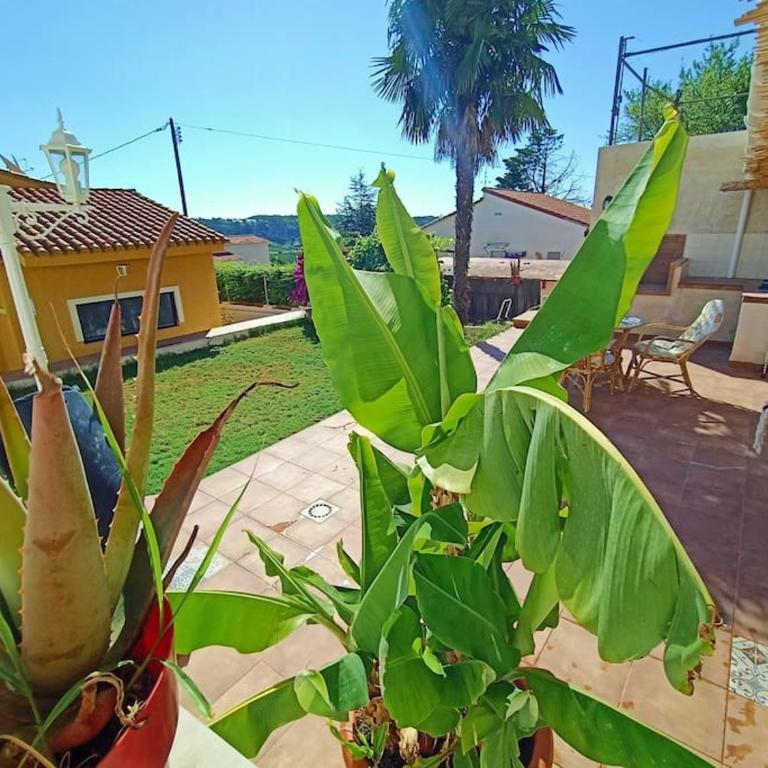 VILLA FALCONERA APARTAMENTS, GANDIA a las faldas de la montaña RELAX & PETS - Apartamento de 1 dormitorio - 53