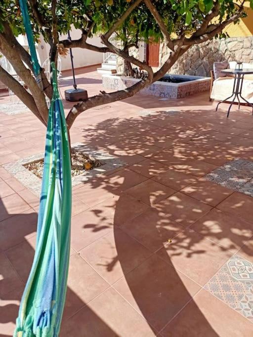 VILLA FALCONERA APARTAMENTS, GANDIA a las faldas de la montaña RELAX & PETS - Apartamento de 1 dormitorio - 49
