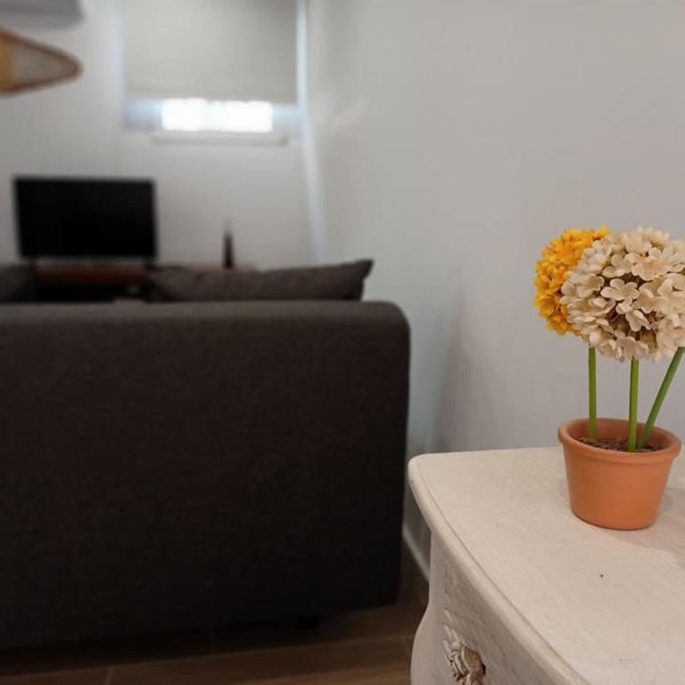 VILLA FALCONERA APARTAMENTS, GANDIA a las faldas de la montaña RELAX & PETS - Apartamento de 1 dormitorio - 34