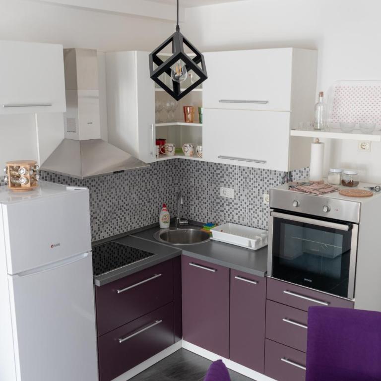 Stan na dan 021 - Apartman sa 1 Spavaćom Sobom - 13