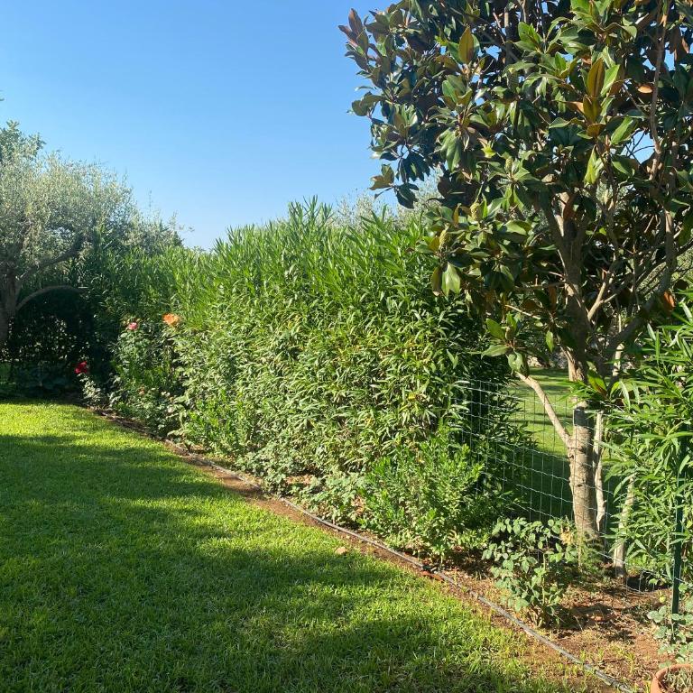 Karrua House - Magnolia Room - Camera Queen con Vista Giardino - 20