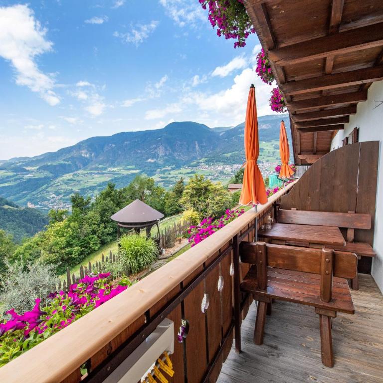 Ausservogelweiderhof - Appartamento con Balcone - 9