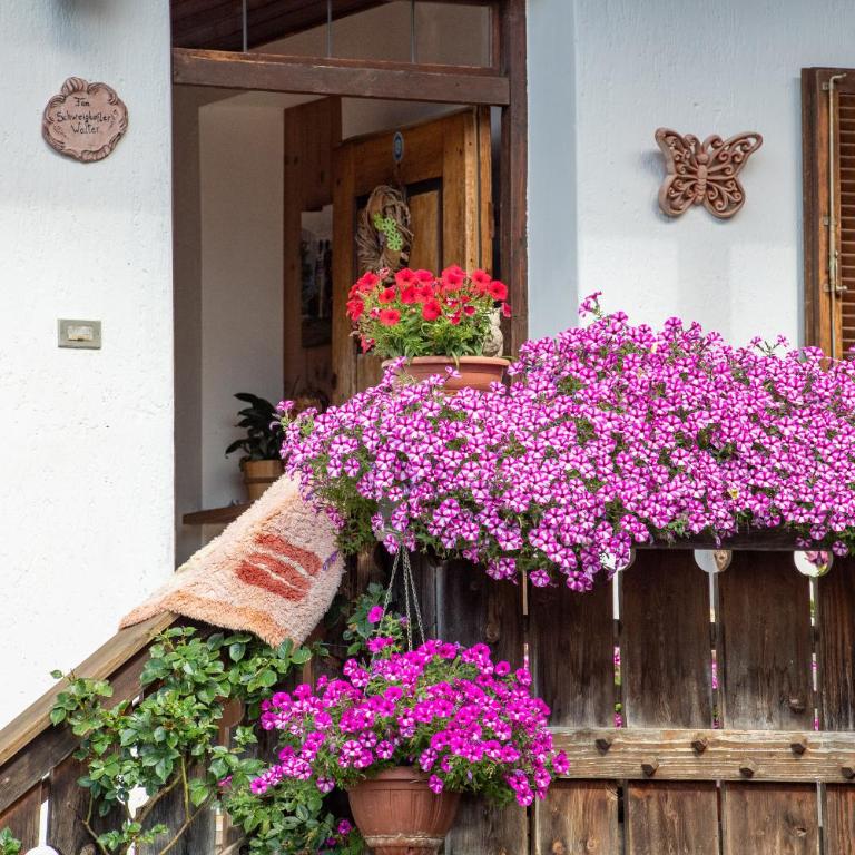 Ausservogelweiderhof - Appartamento con Balcone - 10