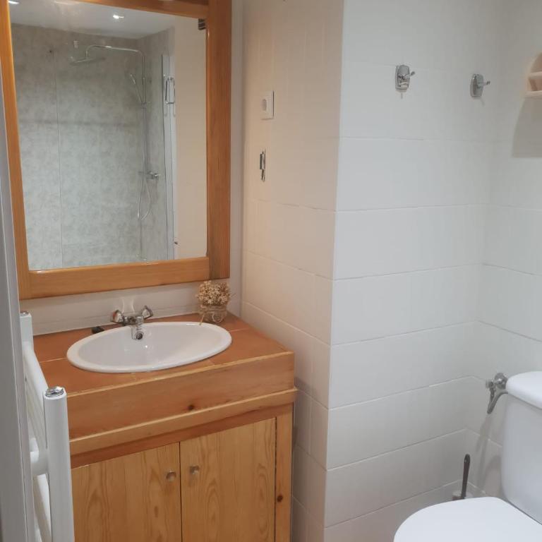 Mandilar Confort Panticosa - Apartamento de 1 dormitorio - 11