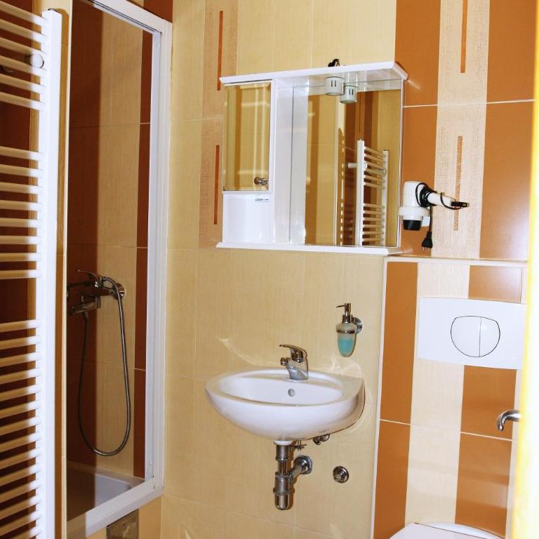 Bed and Breakfast Vijecnica - Komfor Dvokrevetna Soba s Bračnim Krevetom ili Dvokrevetna Soba sa Zasebnim Krevetima - 7