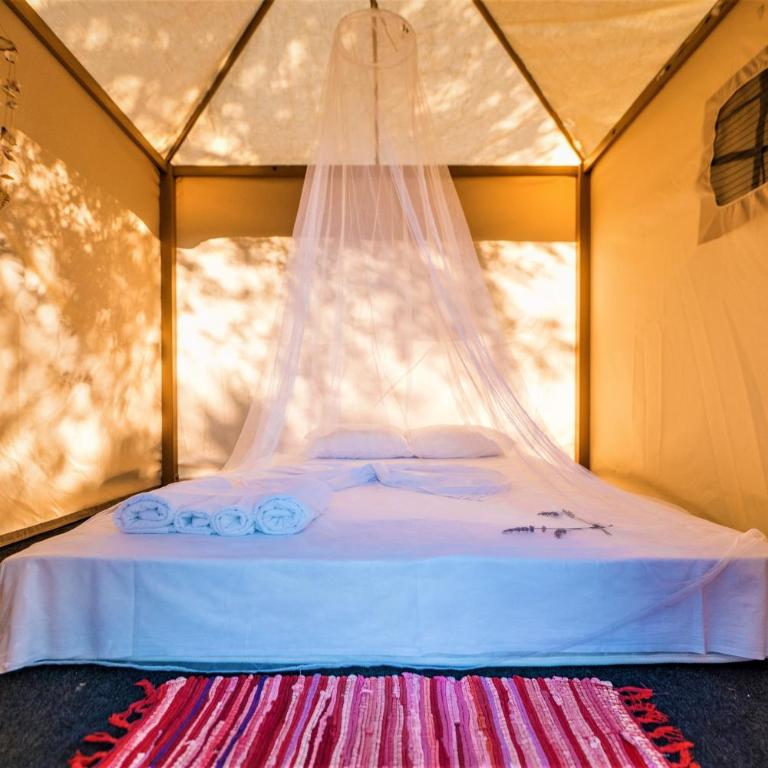 Holiday Park Olive Tree - Tent - 13