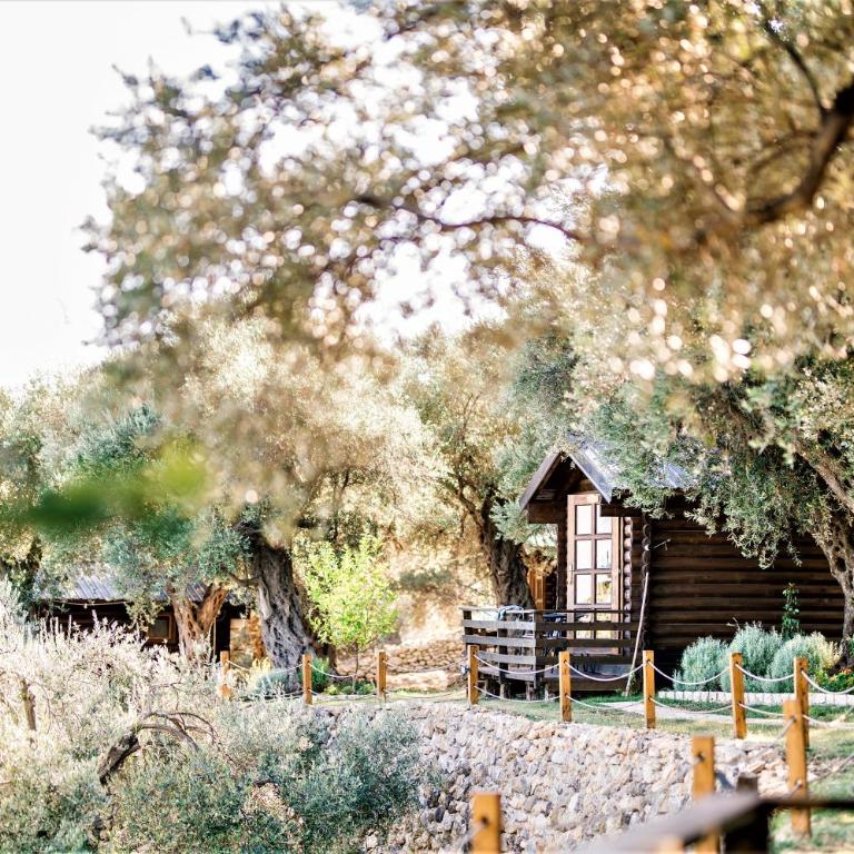 Holiday Park Olive Tree - Deluxe Bungalow with Garden View - 3