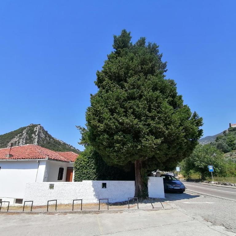 guest house BULJARICA - Three-Bedroom House - 81