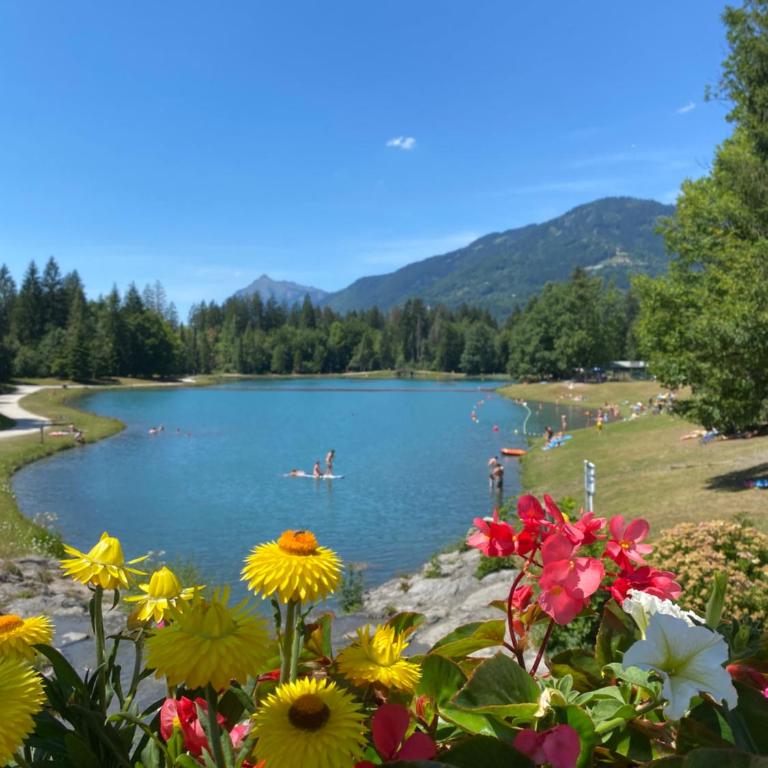 Duplex Samoëns 4/6 couchages - Appartamento con 1 Camera da Letto - 21
