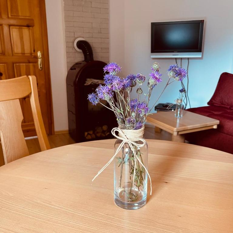 Hill Durmitor - Porodični Apartman sa 2 Spavaće Sobe - 2
