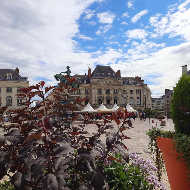 Le cocoon Hyper centre Orleans proche Gare - Apartamento - 10