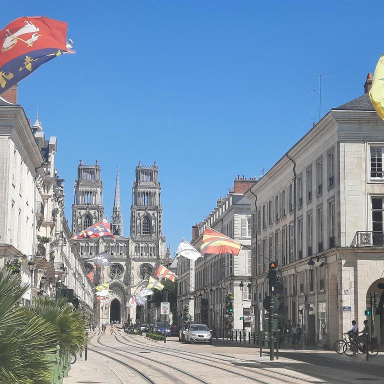 Le cocoon Hyper centre Orleans proche Gare - Apartamento - 9
