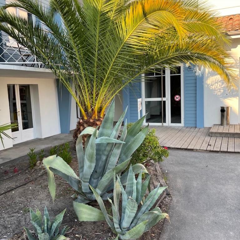 Home Place Apartments - Gujan Arcachon - Studio avec Terrasse - 7