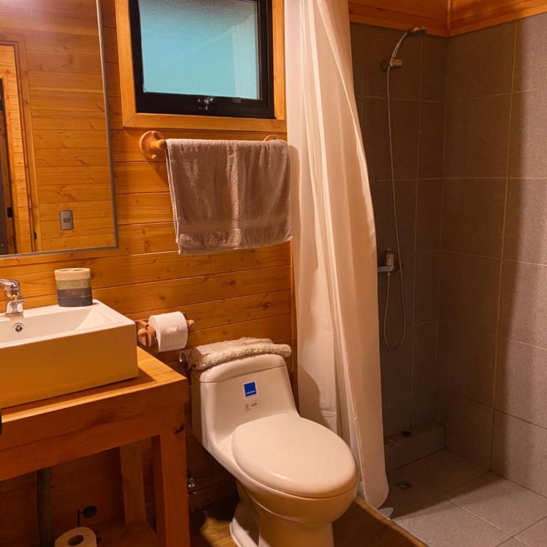 Cabaña nueva en Pucón - Casa de 2 dormitorios - 12