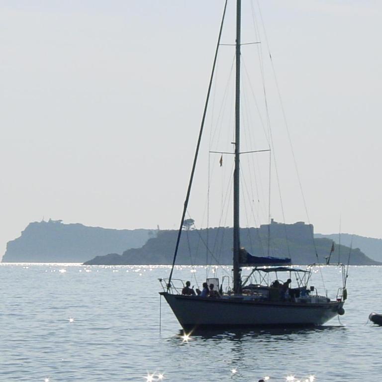 Apartment Mimosa - Apartman sa Pogledom na More - 26