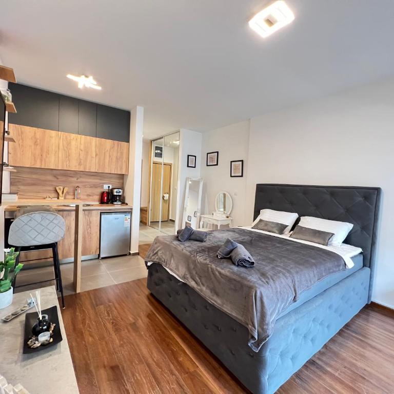 White Homes 16 - Master Quart - Studio Apartment with Balcony - 14
