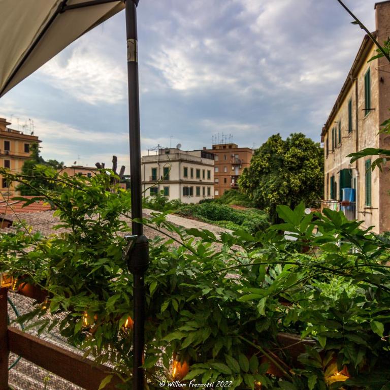 Chiaro di Luna - Casa Vacanze - One-Bedroom House - 5