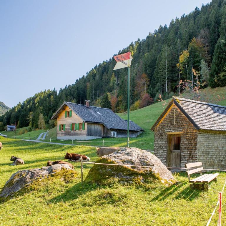 Ferienhaus Engstler - Ferienhaus mit Dusche - 1