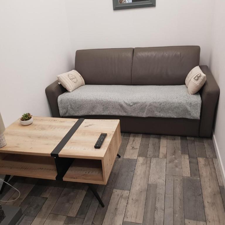 appart cozi, balnéo, clim, centre, 15m de la cité à pied - One-Bedroom Apartment - 13