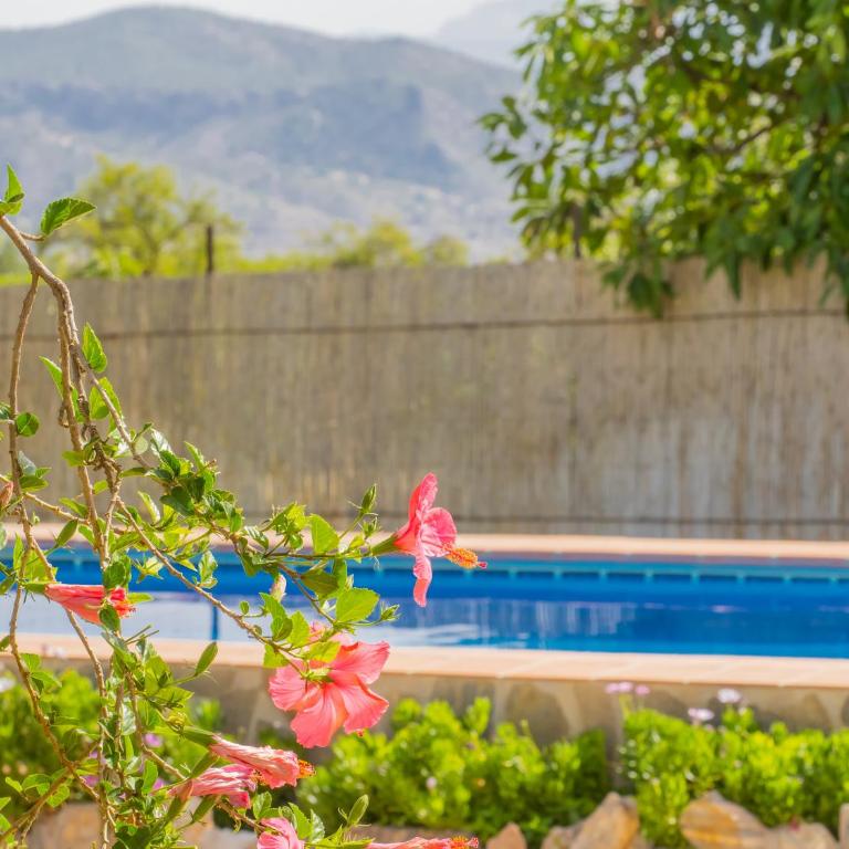 Cubo's Finca el Cortijito de Herrera - Three-Bedroom House - 33