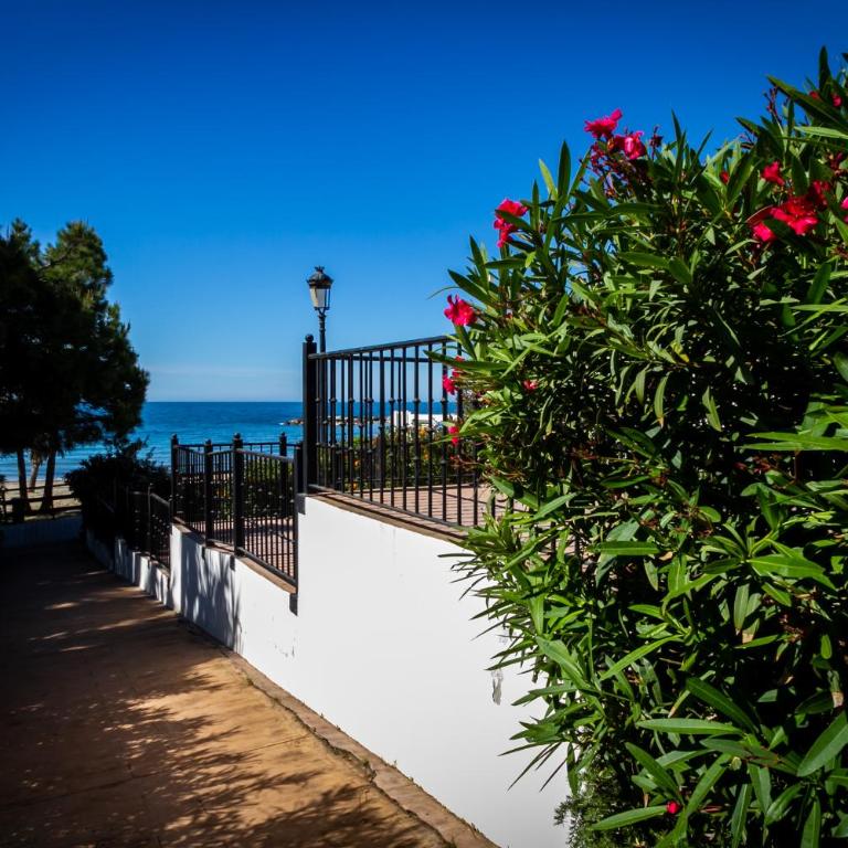 MARBELLA BANUS SUITES - Daisy Playas del Duque Banús Beach Apartment - Apartamento Deluxe - 60