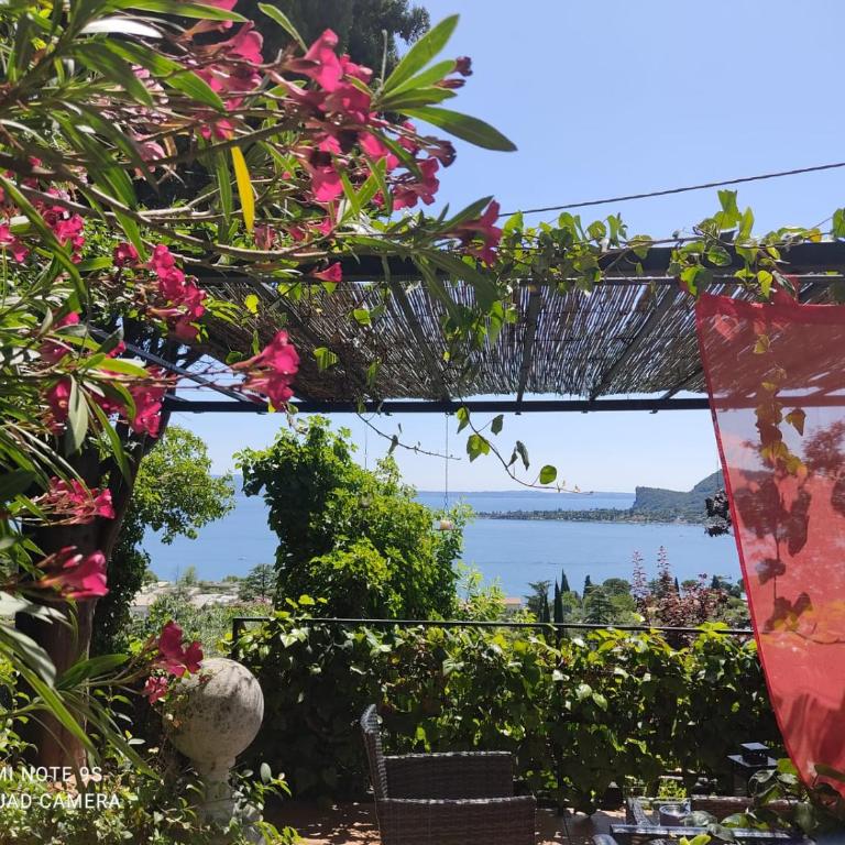 Villa Schindler - Monolocale con Terrazza - 2